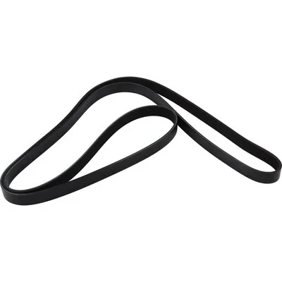 JP GROUP Keilrippenriemen - 1118111800 - TothCarparts