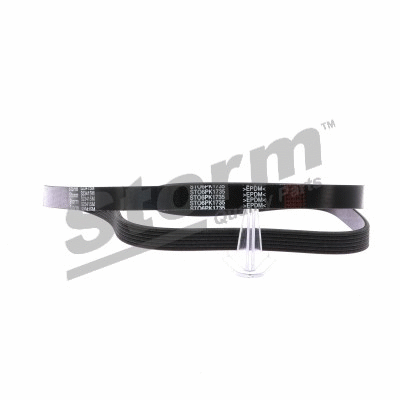 STORM QUALITY PARTS Keilrippenriemen - STO6PK1735 - TothCarparts