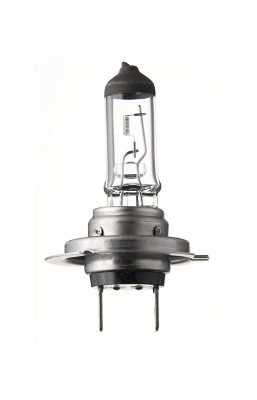 SPAHN GLÜHLAMPEN Glühlampe, Hauptscheinwerfer - 57162L - TothCarparts