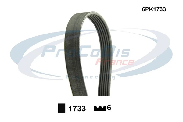 PROCODIS FRANCE Keilrippenriemen - 6PK1733 - TothCarparts
