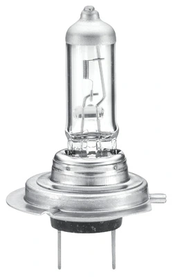 HELLA Glühlampe, Hauptscheinwerfer - 8GH 223 498-231 - TothCarparts