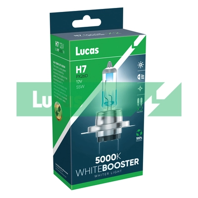 LUCAS Glühlampe, Hauptscheinwerfer - LLXH75000TR - TothCarparts