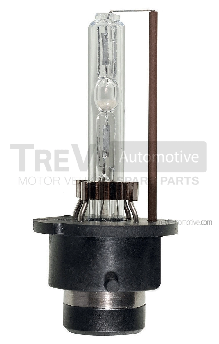 TREVI AUTOMOTIVE Glühlampe, Hauptscheinwerfer - TRX672 - TothCarparts