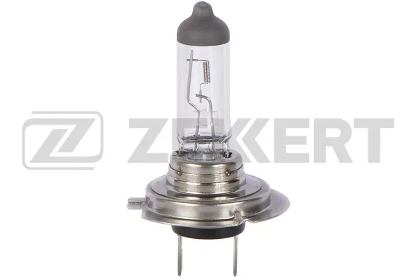 ZEKKERT Glühlampe, Hauptscheinwerfer - LP-1024 - TothCarparts