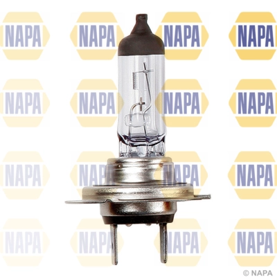 NAPA Glühlampe, Hauptscheinwerfer - NBU1477 - TothCarparts