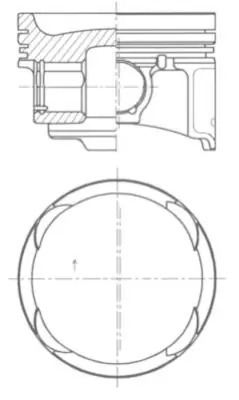 WILMINK GROUP dugattyú - WG1924760 - TothCarparts