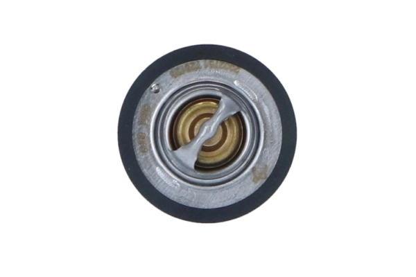 WILMINK GROUP termosztát, hűtőfolyadék - WG2184745 - TothCarparts