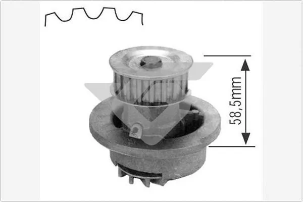 HUTCHINSON Vízszivattyú, motorhűtés - WP02 - TothCarparts