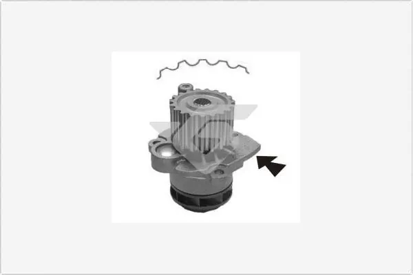 HUTCHINSON Vízszivattyú, motorhűtés - WP57 - TothCarparts