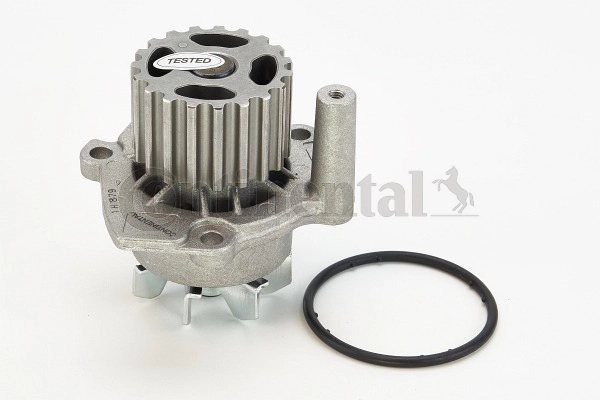 CONTINENTAL CTAM Vízszivattyú, motorhűtés - WP6001 - TothCarparts