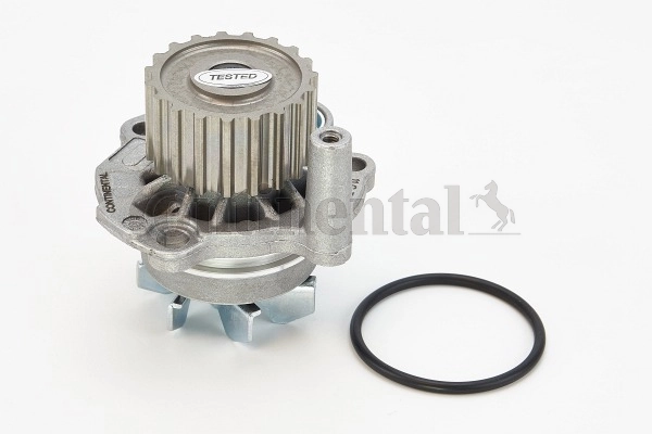CONTINENTAL CTAM Vízszivattyú, motorhűtés - WP6005 - TothCarparts
