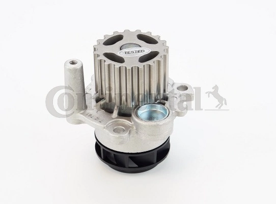 CONTINENTAL CTAM Vízszivattyú, motorhűtés - WP6040 - TothCarparts
