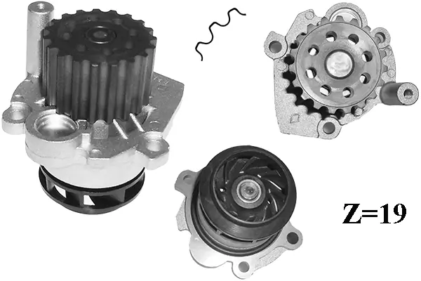 TECDRIVE Vízszivattyú, motorhűtés - TPAE0009 - TothCarparts