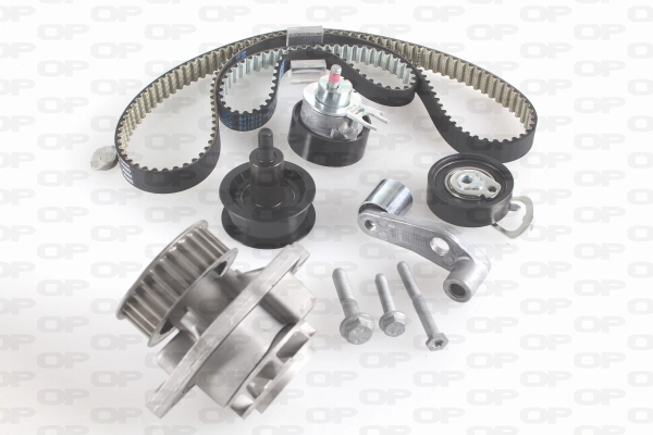 OPEN PARTS Vízpumpa + fogasszíj készlet - WTBK5031.00 - TothCarparts