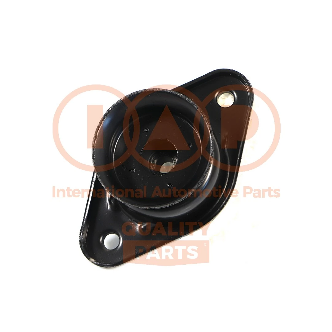 IAP QUALITY PARTS Támcsapágy, gólyaláb - 505-07005 - TothCarparts