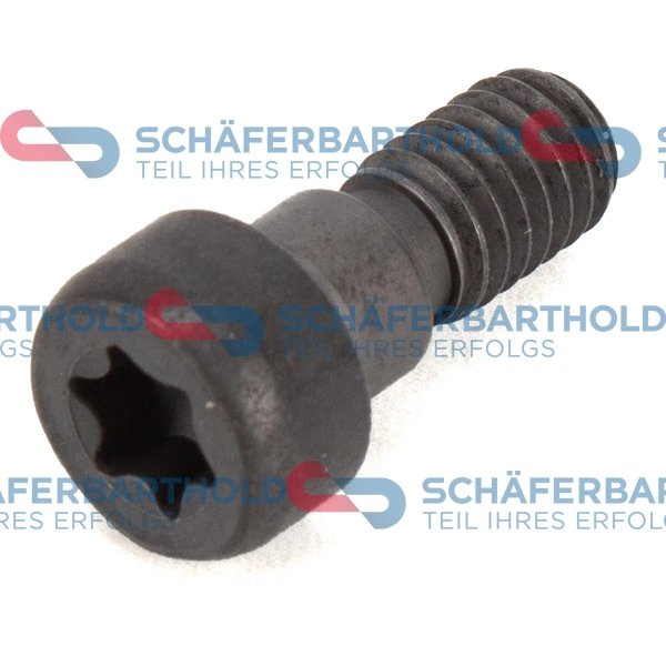 ORIGINAL Schäferbart Csavar, fogaskerék - vezérműtengely - 100 02 305 01 22 - TothCarparts