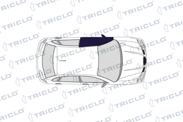 TRICLO kapcsoló, ablakemelő - 148281 - TothCarparts