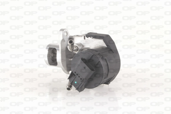 OPEN PARTS AGR-szelep - EGR3008.00 - TothCarparts
