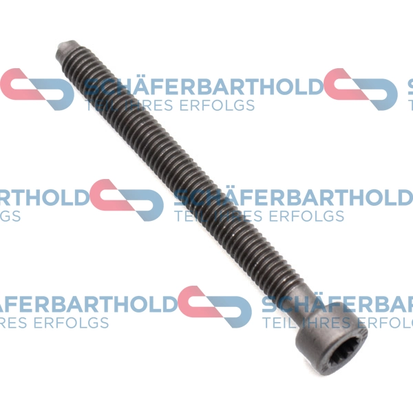ORIGINAL Schäferbart Beszabályzó csavar, befecskendező szivattyú - 395 18 005 01 22 - TothCarparts