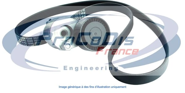 PROCODIS FRANCE hosszbordás szíj készlet - KGA2061 - TothCarparts