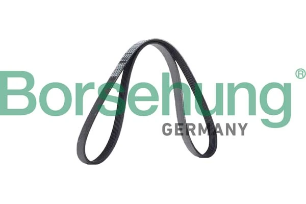 Borsehung hosszbordás szíj - B12385 - TothCarparts