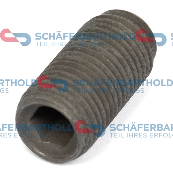 ORIGINAL Schäferbart Beszabályzó csavar, befecskendező szivattyú - 395 18 029 01 22 - TothCarparts