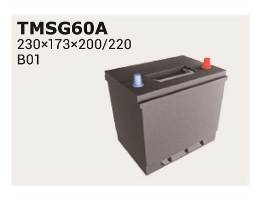 IPSA Indító akkumulátor - TMSG65A - TothCarparts