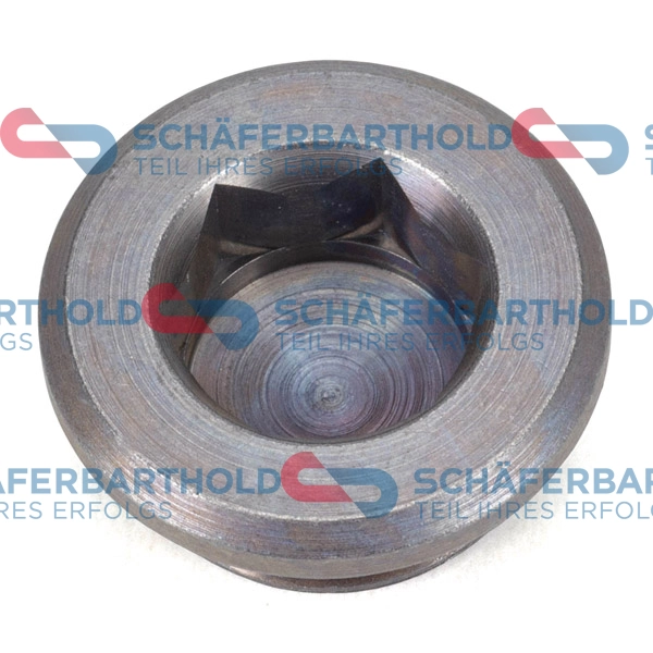 ORIGINAL Schäferbart zárócsavar, tengelyhajtás - 100 02 193 01 22 - TothCarparts