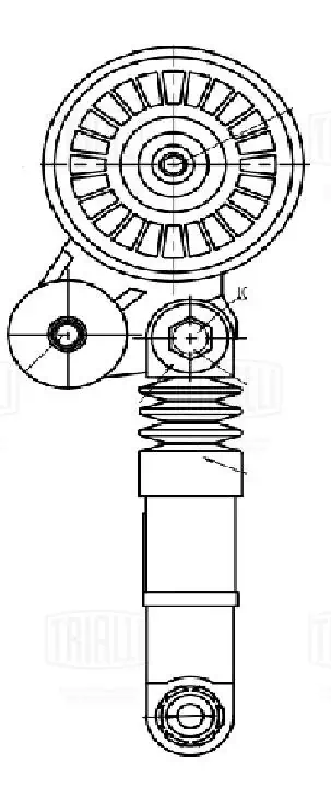 TRIALLI Szíjfeszítő, hosszbordás szíj - CM 5498 - TothCarparts