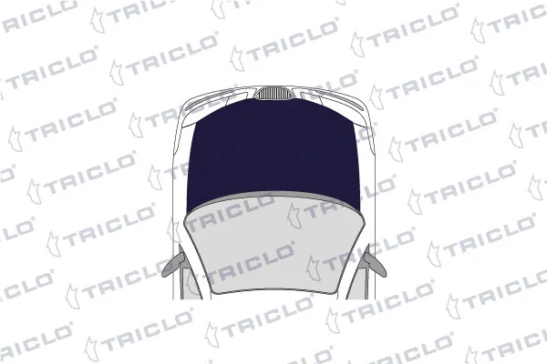 TRICLO mosóvízszivattyú, fényszórómosó - 190429 - TothCarparts