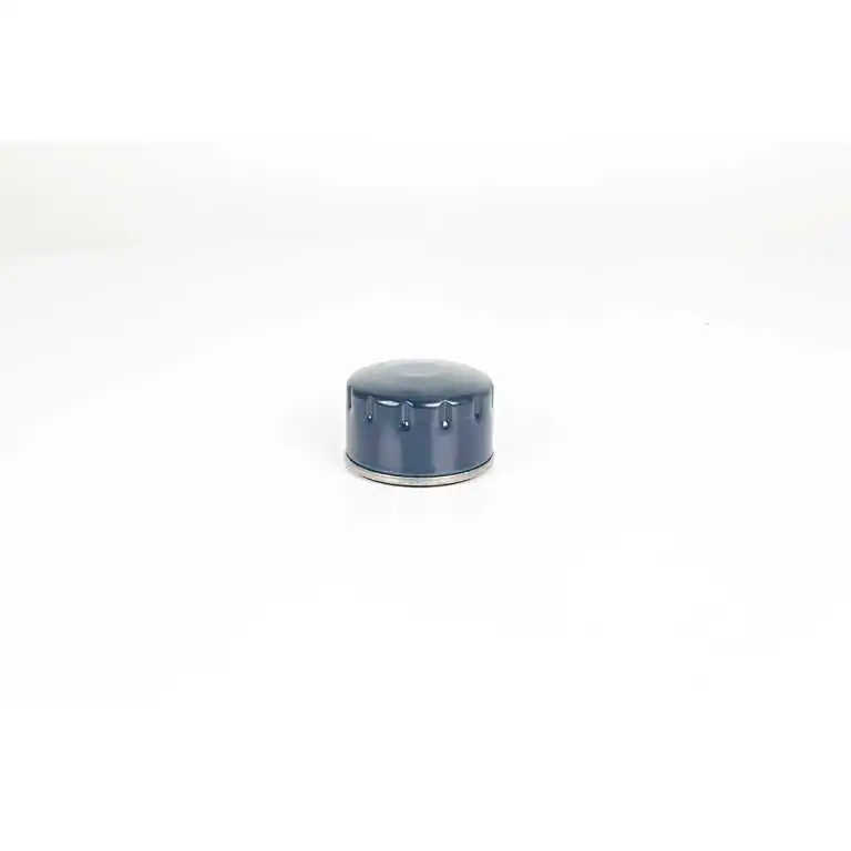 BSG olajszűrő - BSG 75-140-005 - TothCarparts