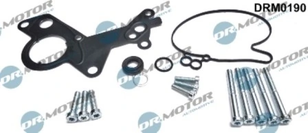 LIZARTE Javítókészlet, vákuumszivattyú (fékrendszer) - DRM0190 - TothCarparts