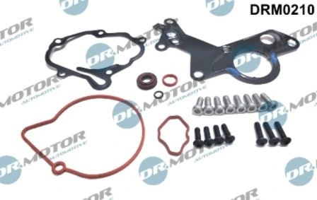 LIZARTE Javítókészlet, vákuumszivattyú (fékrendszer) - DRM0210 - TothCarparts