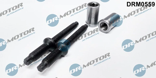 LIZARTE Csavar, befecskendező fúvóka tartó - DRM0559 - TothCarparts