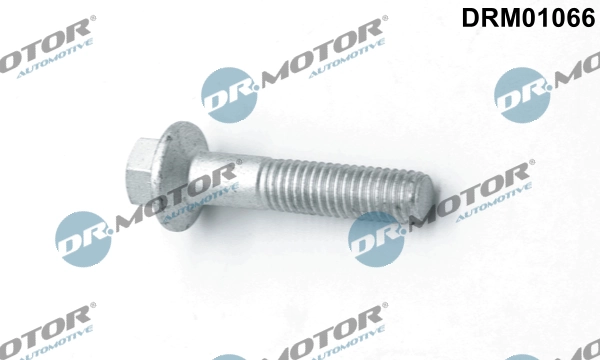 LIZARTE Csavar, befecskendező fúvóka tartó - DRM01066 - TothCarparts