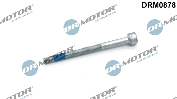 LIZARTE Csavar, befecskendező fúvóka tartó - DRM0878 - TothCarparts