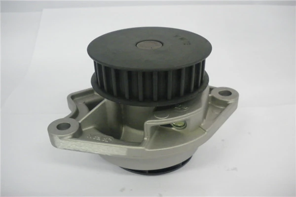 GMB Oceania Vízszivattyú, motorhűtés - GWVW-13A - TothCarparts