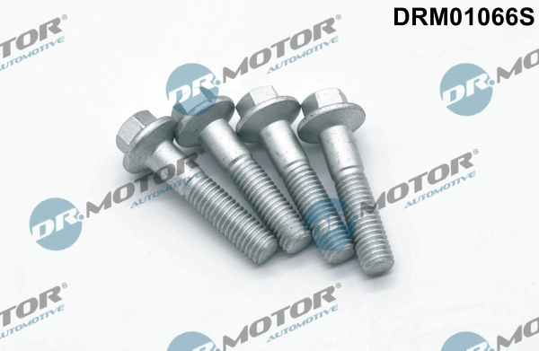 LIZARTE Csavar, befecskendező fúvóka tartó - DRM01066S - TothCarparts