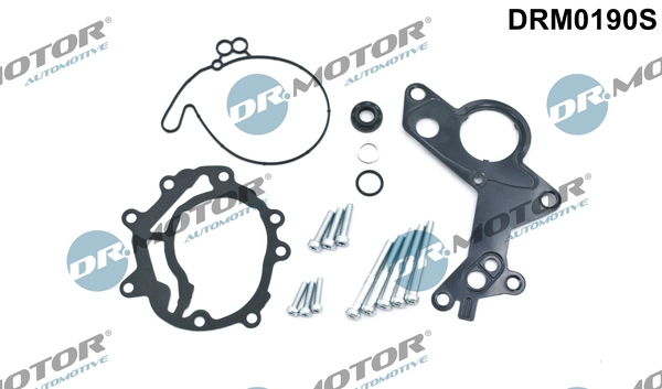LIZARTE Javítókészlet, vákuumszivattyú (fékrendszer) - DRM0190S - TothCarparts