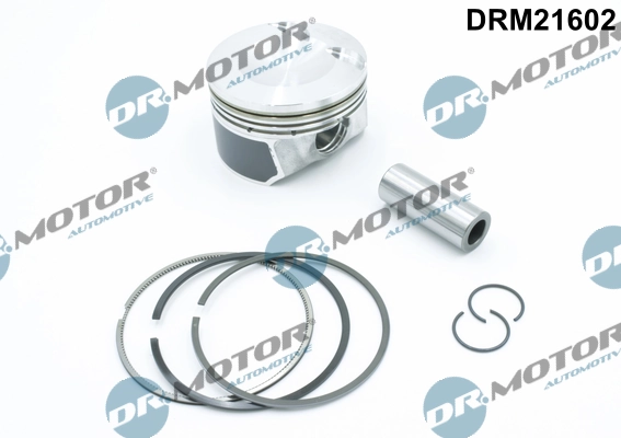 LIZARTE dugattyú - DRM21602 - TothCarparts