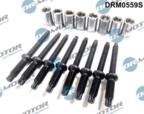 LIZARTE Csavar, befecskendező fúvóka tartó - DRM0559S - TothCarparts