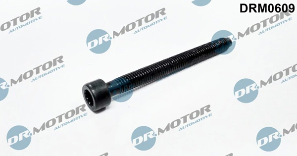 LIZARTE Csavar, befecskendező fúvóka tartó - DRM0609 - TothCarparts