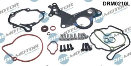 LIZARTE Javítókészlet, vákuumszivattyú (fékrendszer) - DRM0210L - TothCarparts