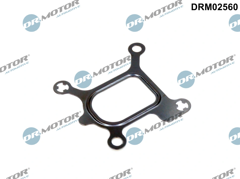 Dr.Motor Automotive Tömítés, hűtőfolyadék-perem - DRM02560 - TothCarparts