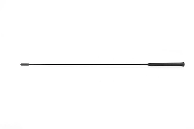 BSG antenna - BSG 30-922-073 - TothCarparts