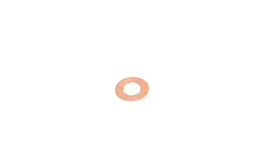BSG Tömítőgyűrű, fúvóka tartó - BSG 30-995-048 - TothCarparts
