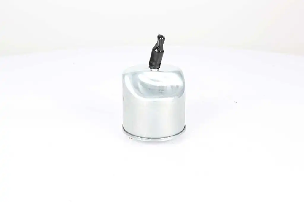 BSG Üzemanyagszűrő - BSG 70-130-009 - TothCarparts
