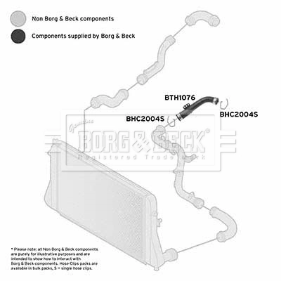 BORG & BECK Töltőlevegő cső - BTH1076 - TothCarparts