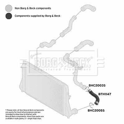 BORG & BECK Töltőlevegő cső - BTH1147 - TothCarparts