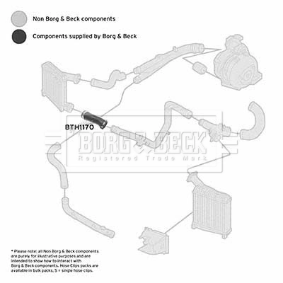 BORG & BECK Töltőlevegő cső - BTH1170 - TothCarparts